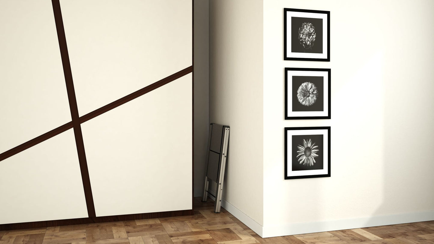 Colombo Leonardo Black 2-step ladder (G300A02W)