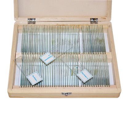 Set of preparations Optima Zagalna biology E (100 pcs.) (S-003.4)