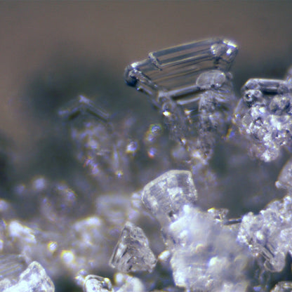 Microscope Bresser Erudit ICD (30.5) (5803600)