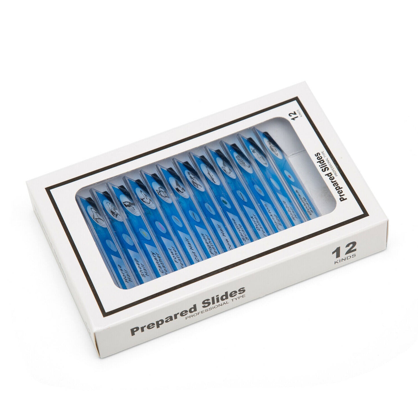 Slidey set of 12. aminal (E35.3617)