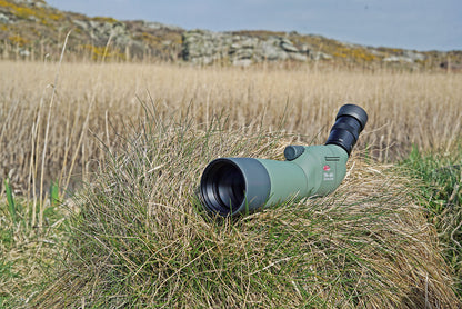 Telescope Kowa TSN-602 60 mm Straight (10017)