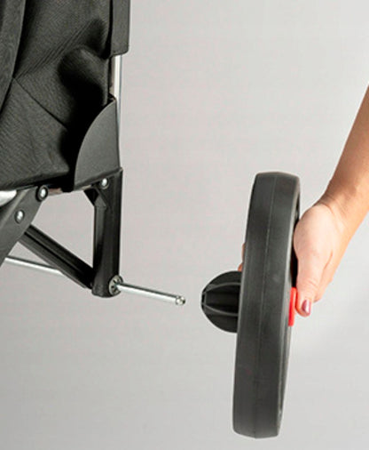 Rolser Eco Pep 2 LRSG trolley bag (PEP025-1041)