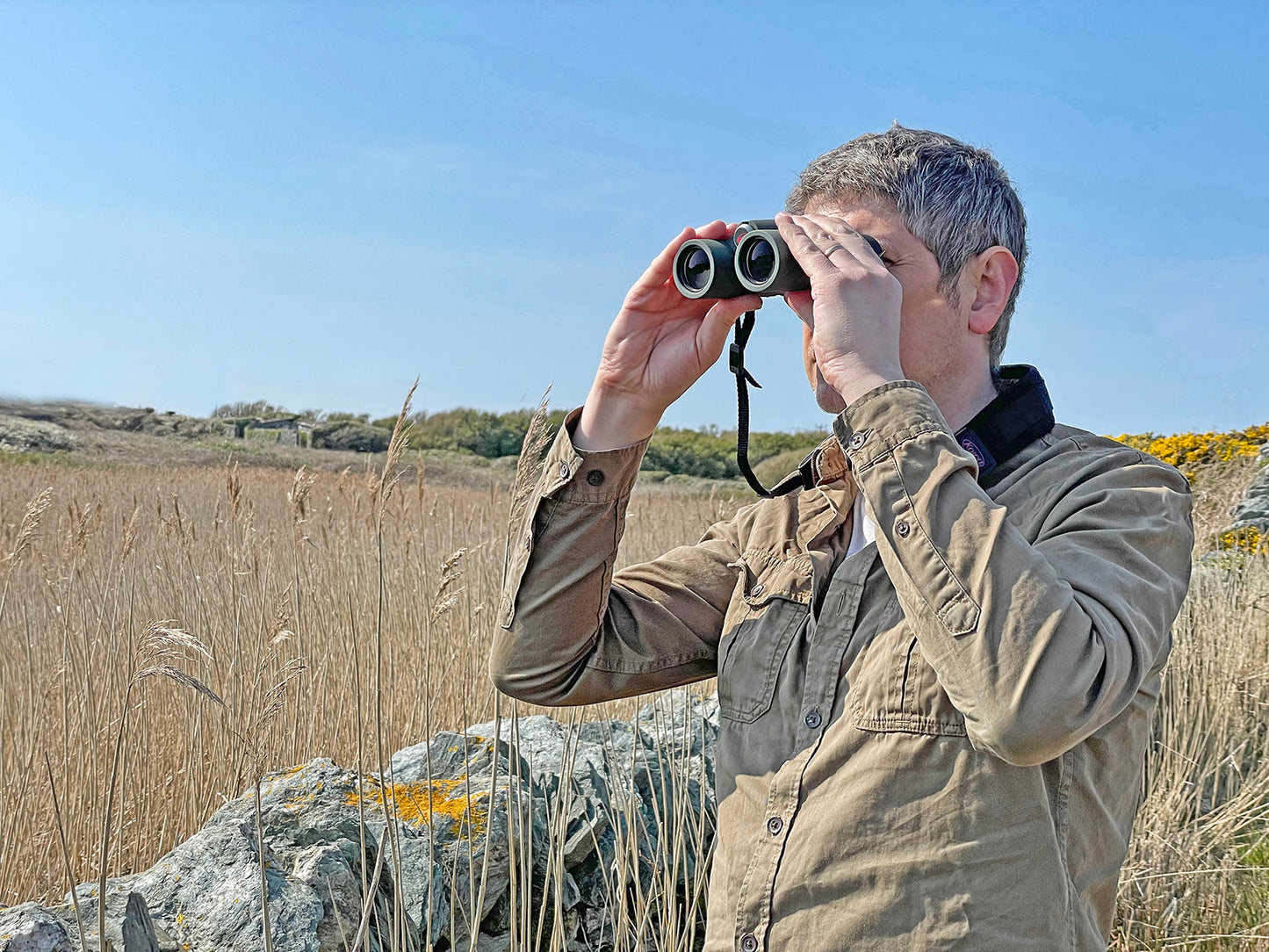 Binoculars Kowa BD II 6.5x32 XD (11895) 