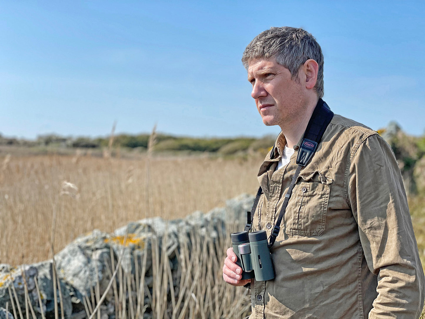 Binoculars Kowa BD II 6.5x32 XD (11895) 