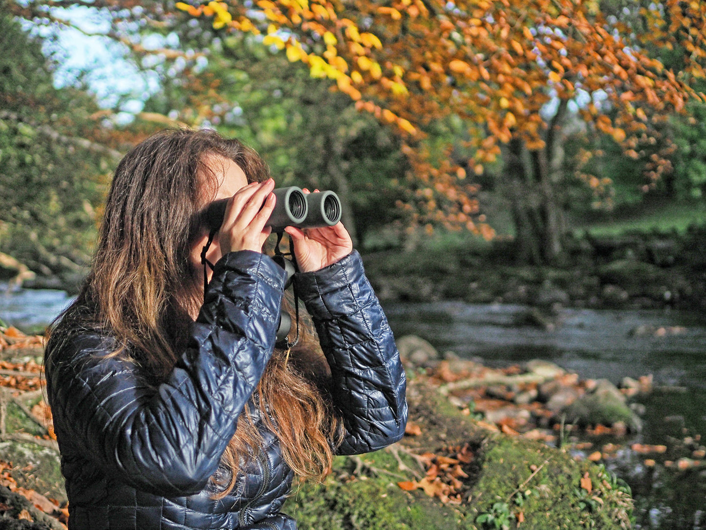 Binoculars Kowa Genesis Prominar XD 8x33 (10559)