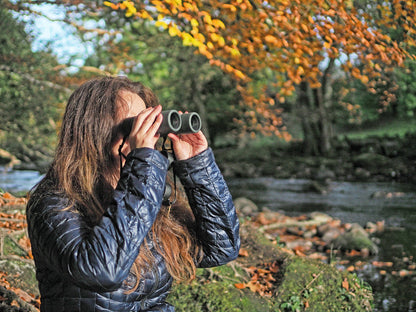 Binoculars Kowa Genesis Prominar XD 8x33 (10559)