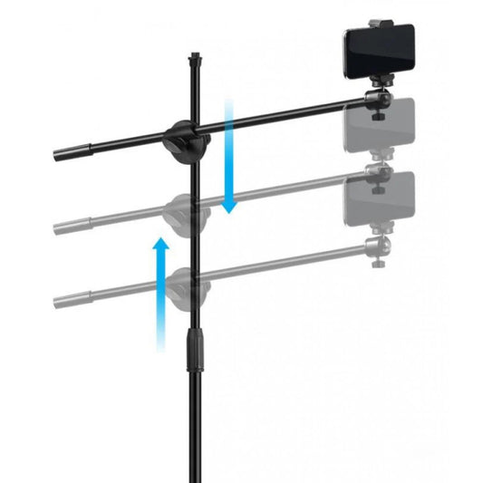 Tripod holder with lamp mount