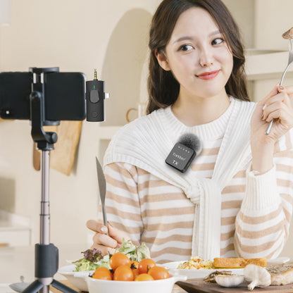 Беспроводной микрофон для телефона Earldom ET-MC12