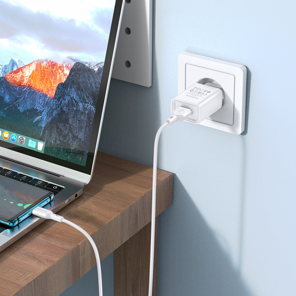 Home Charger 2.1A 1U USB C Cable (1m) Borofone BA68A – Black