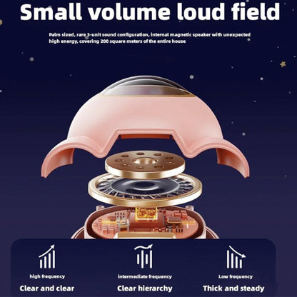 Bluetooth Speaker &amp; 1 Microphone – MC-009