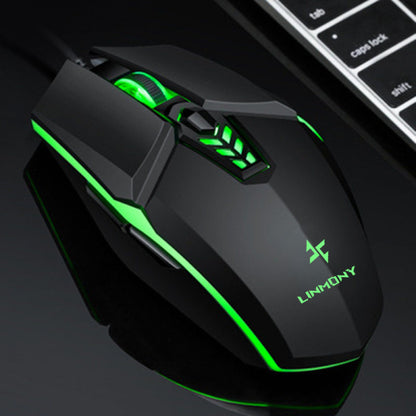 Drotova Misha – G603