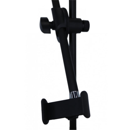 Tripod holder with lamp mount
