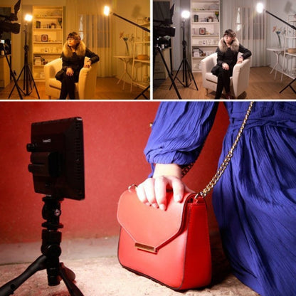 Селфи вспышка VL15-02 25W 2700-6600k 308light