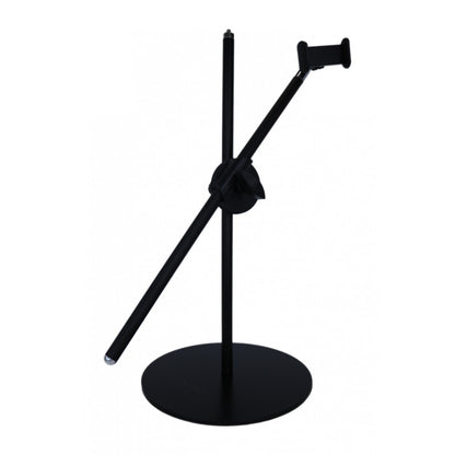 Tripod holder with lamp mount