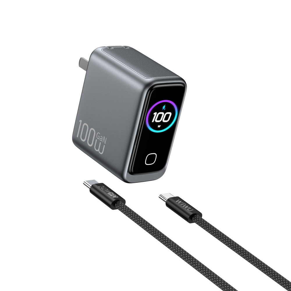 Home Charger | 100W | GaN | 1U | 2C | C to C Cable (1m)— Wiwu CHG300