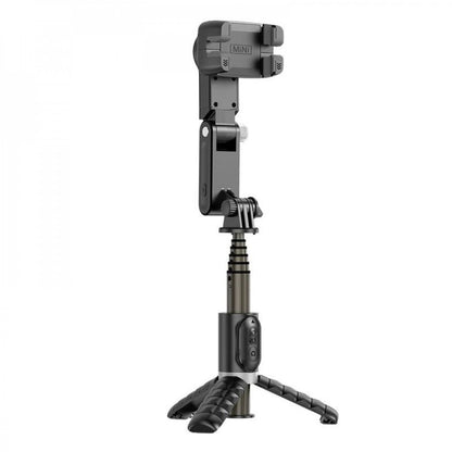 Gimbal Stabilizer (0.70m) – Q18