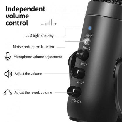 Microphone Jmary MC-PW8