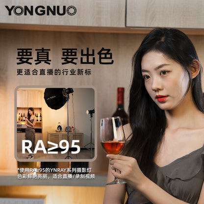 LED video lamp kit YNRAY200 200W color 2700-6500K