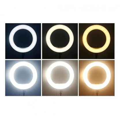 LED Ring Light (45 cm) 256 Lights Touch Switch LJJ-45
