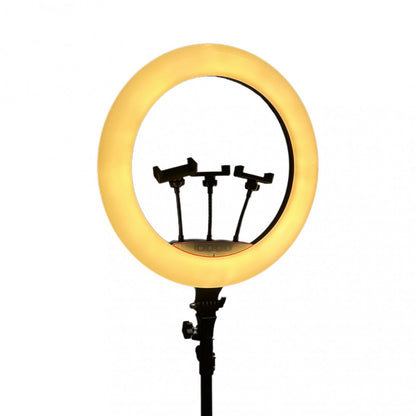 LED Ring Light (45 cm) 416 Lights Rotary Switch LJJ-45