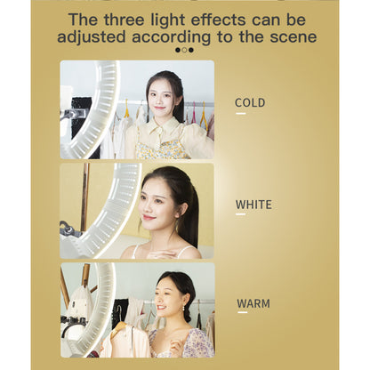 Ring lamp LED Veron FS-640 II 55cm 100W 3200-5500K white with mirror