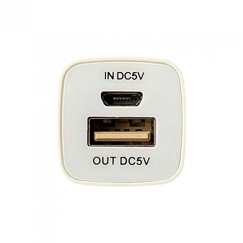 Power Bank 2600 mAh Powder