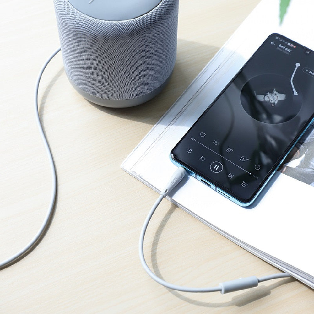 Aux Cable (1m) — Hoco UPA15 With Mic