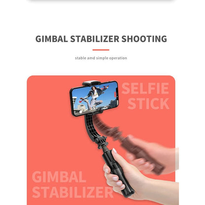 Monopod Tripod (0.72m) – L08 mini