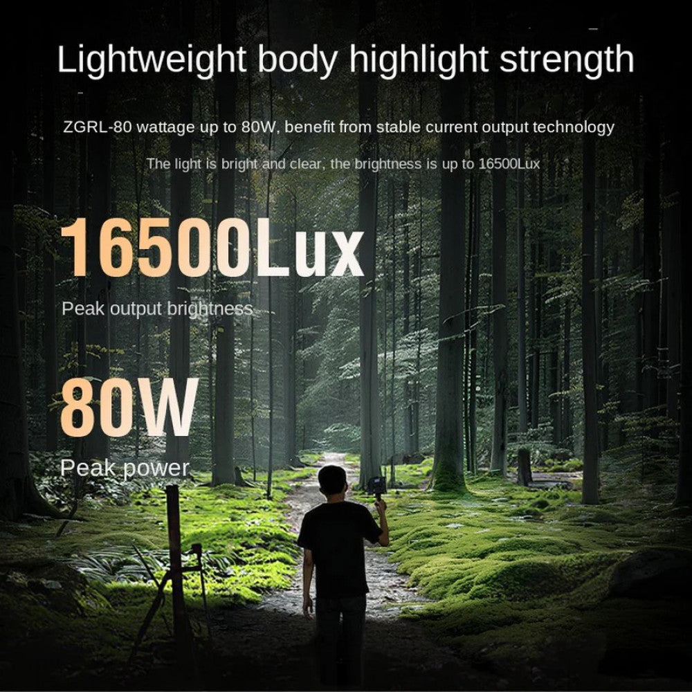Светодиодный осветитель LED ZGRL80
