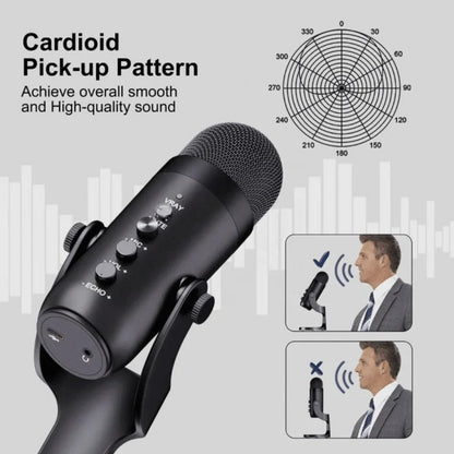 Microphone Jmary MC-PW8