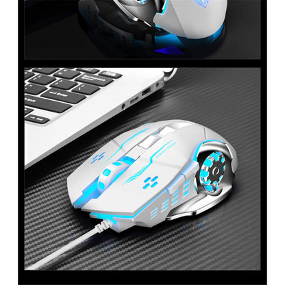 Drotova Misha — Mixie S20