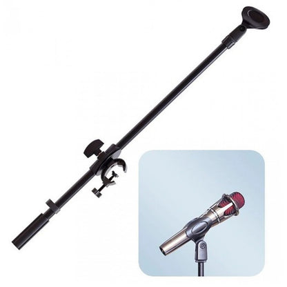 Tripod holder with mount for microphone