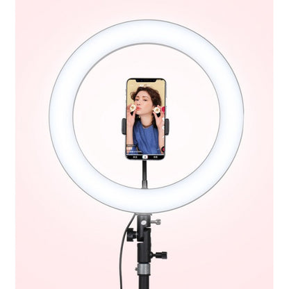 Лампа Кольцевая LED RL-14 RGB Original 36cm  36w  | 192 Lights | Remote I 3m cable with plug  I 3 holder I carry bag