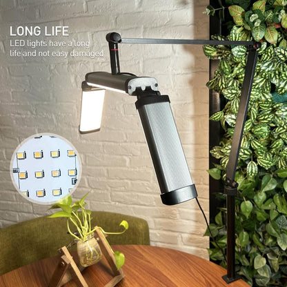 Cosmetology lamp with table mount FZ-20H