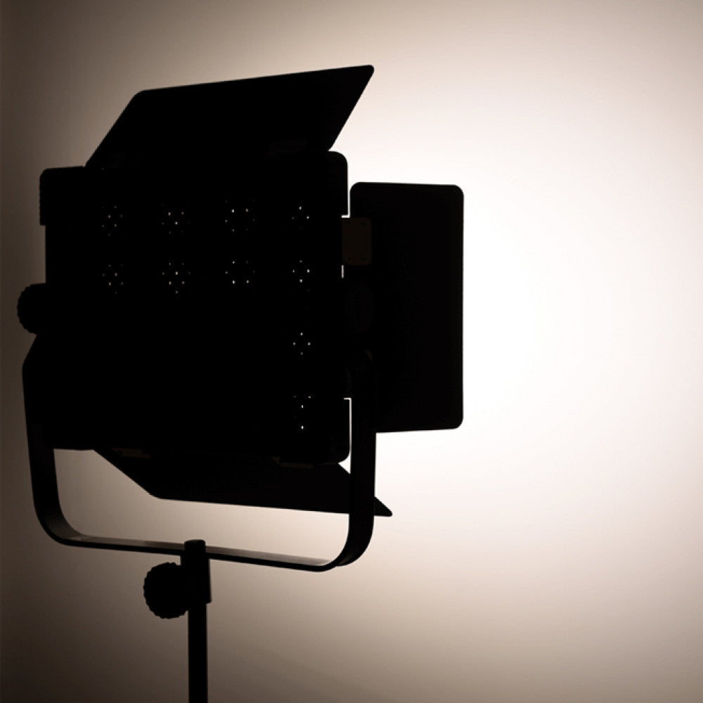 LED video light — Yongnuo YN9000 (battery kit + battery charger)