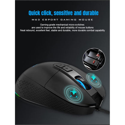 Drotova Misha – M63 RGB