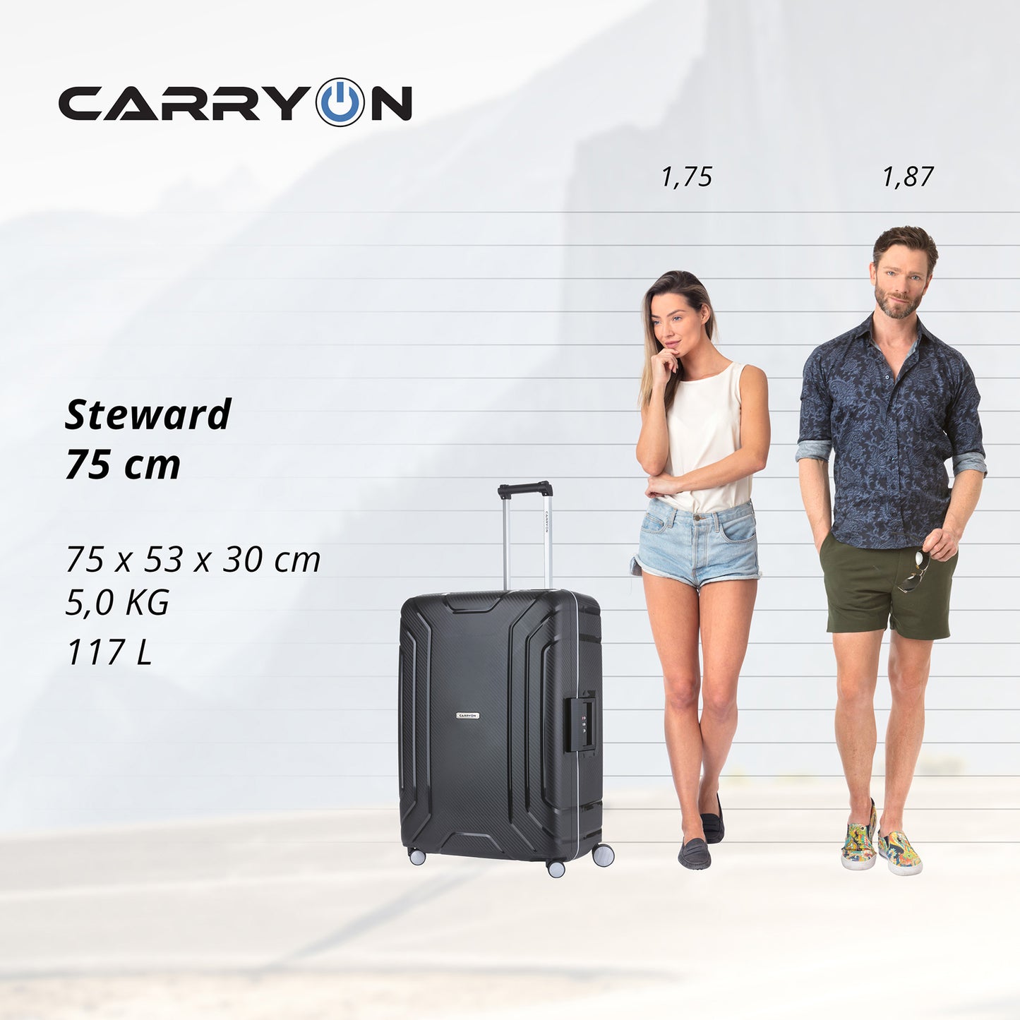 Valise CarryOn Steward (L) Black (502324)