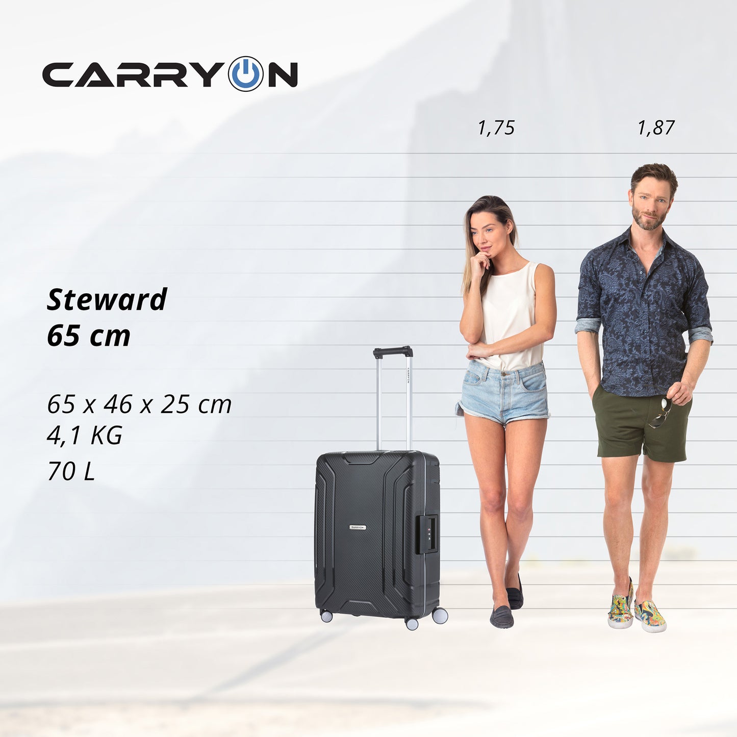 Valise CarryOn Steward (M) Black (502323)
