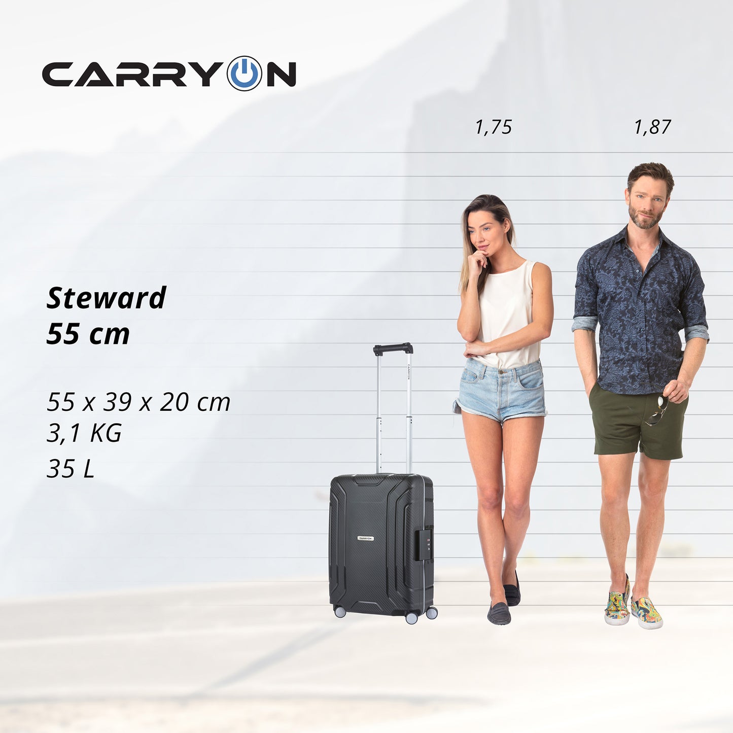 Valise CarryOn Steward (S) Black (502322)