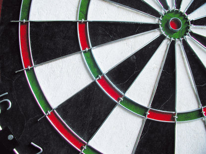 Darts classic Equinox Aries (DA-11)