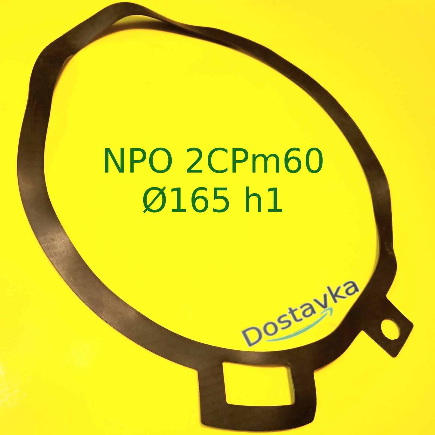 Gasket for surface pump NPO 2CPm60 (Ø165*1) (guma) (A05/015)