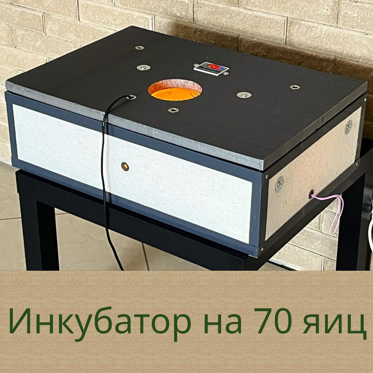 Nasedka Incubator 70 Eggs (Mechanical Turn, Plastic Case)