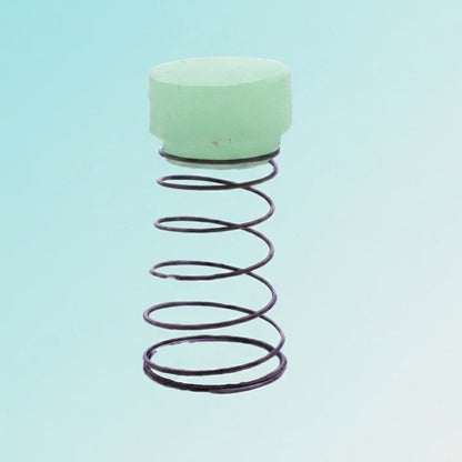 Compressor Valve Repair Kit (d15, h9)