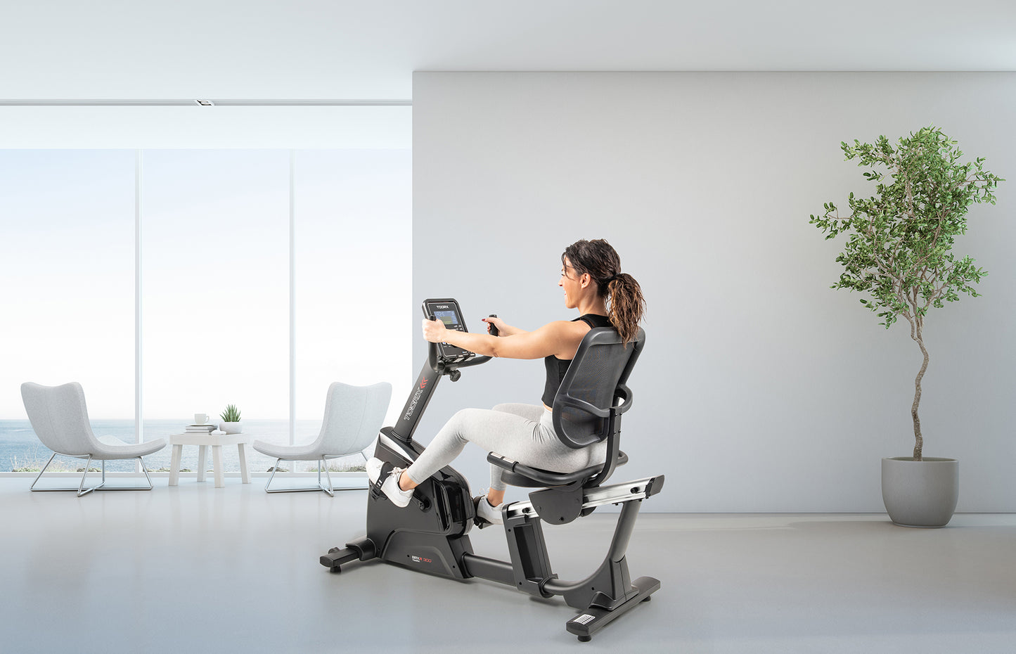 Recumbent Bike BRXR 300 (BRX-R300)