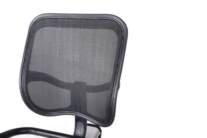 Recumbent Bike BRXR 300 (BRX-R300)