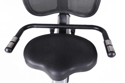 Recumbent Bike BRXR 300 (BRX-R300)