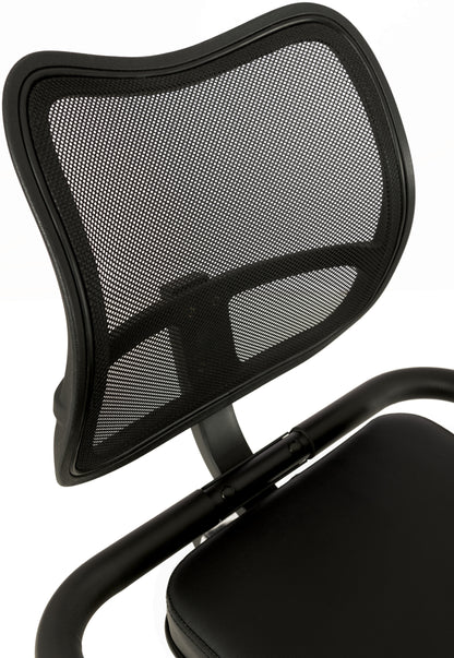 Horizontal rehabilitation exercise bike Toorx Recumbent Bike BRXR Multifit (BRX-RMULTIFIT)