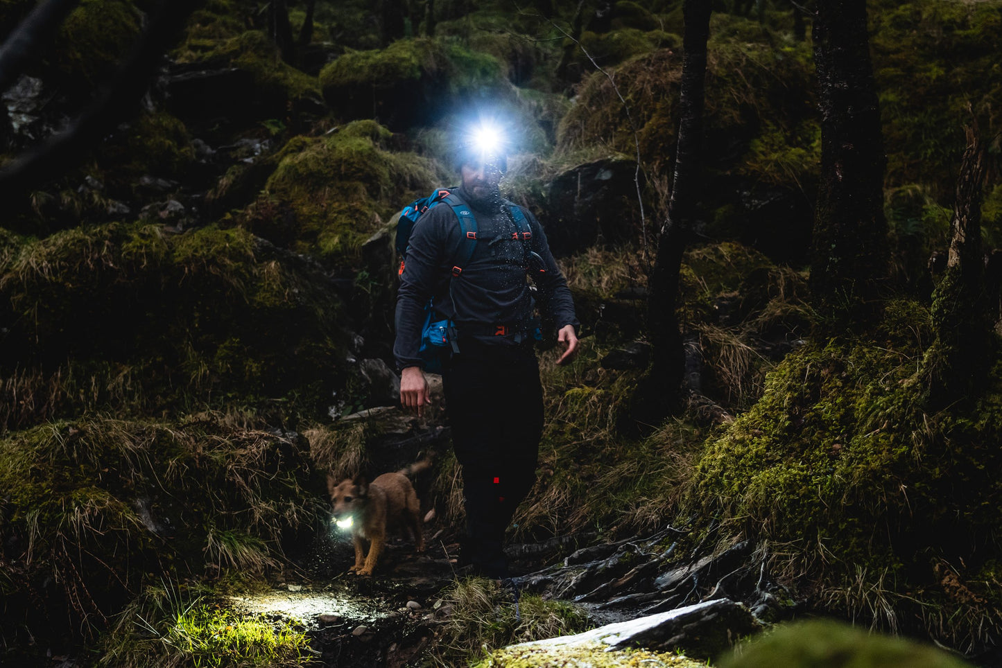 Headlamp Highlander Polaris 550 Rechargable Head Torch Black (TOR195)