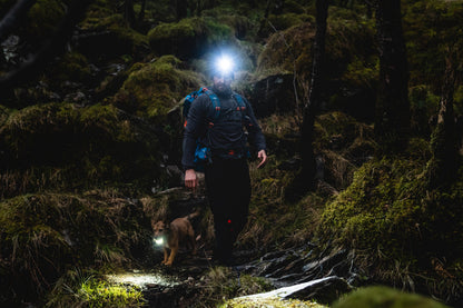 Headlamp Highlander Polaris 550 Rechargable Head Torch Black (TOR195)