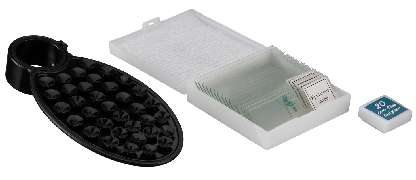 Microscope Bresser Erudit Basic Bino 40x-400x with adapter for smartphone (5102200)